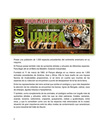 8
Posee una población de 1.300 especies procedentes del continente americano en su
mayoría.
El Parque posee también más de quinientos árboles y arbustos de diferentes especies.
Para llegar allí en el Metro de Medellín: Estación Industriales
Fundado el 11 de marzo de 1960, el Parque alberga en su interior cerca de 1.000
animales procedentes de América, Asia y África. Ello lo hace dueño de una riqueza
fáunica de incalculables proporciones, si se tiene en cuenta que muchas de las
especies de su colección se encuentran a punto de desaparecer de la faz de la tierra.
Entre los representantes del reino animal que exhibe el zoológico y que más despiertan
la atención de los visitantes se encuentran los leones, tigres de Bengala, cebras, osos
de anteojos, águilas harpías e hipopótamos.
Y también, como complemento de los animales, el zoológico exhibe con orgullo más de
quinientos árboles y arbustos, entre los que se citan palmeras, frutales, samanes,
acacias, búcaros, carboneros, urapanes, guayacanes, ceibas y gualandayes, entre
otros, y que lo consolidan como uno de los espacios más arborizados de la ciudad,
situación de gran importancia ante los altos niveles de contaminación que caracterizan
la zona industrial del Valle de Aburrá.
 