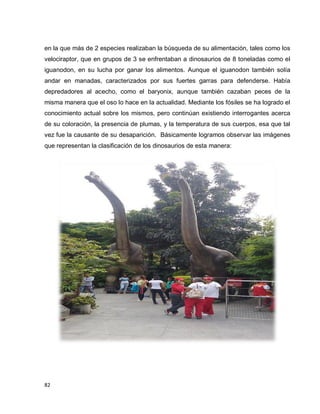 82
en la que más de 2 especies realizaban la búsqueda de su alimentación, tales como los
velociraptor, que en grupos de 3 se enfrentaban a dinosaurios de 8 toneladas como el
iguanodon, en su lucha por ganar los alimentos. Aunque el iguanodon también solía
andar en manadas, caracterizados por sus fuertes garras para defenderse. Había
depredadores al acecho, como el baryonix, aunque también cazaban peces de la
misma manera que el oso lo hace en la actualidad. Mediante los fósiles se ha logrado el
conocimiento actual sobre los mismos, pero continúan existiendo interrogantes acerca
de su coloración, la presencia de plumas, y la temperatura de sus cuerpos, esa que tal
vez fue la causante de su desaparición. Básicamente logramos observar las imágenes
que representan la clasificación de los dinosaurios de esta manera:
 