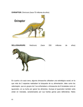 83
OVIRAPTOR: Omnívoro (hace 70 millones de años)
SELLOSAURURS: Herbívoro (hace 250 millones de años)
En cuanto a la caza cena, algunos dinosaurios utilizaban una estratégica social, en la
que más de 2 especies realizaban la búsqueda de su alimentación, tales como los
velociraptor, que en grupos de 3 se enfrentaban a dinosaurios de 8 toneladas como el
iguanodon, en su lucha por ganar los alimentos. Aunque el iguanodon también solía
andar en manadas, caracterizados por sus fuertes garras para defenderse. Había
 