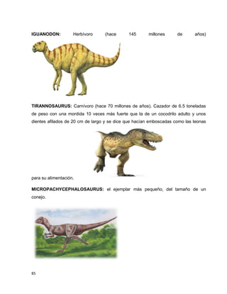 85
IGUANODON: Herbívoro (hace 145 millones de años)
TIRANNOSAURUS: Carnívoro (hace 70 millones de años). Cazador de 6.5 toneladas
de peso con una mordida 10 veces más fuerte que la de un cocodrilo adulto y unos
dientes afilados de 20 cm de largo y se dice que hacían emboscadas como las leonas
para su alimentación.
MICROPACHYCEPHALOSAURUS: el ejemplar más pequeño, del tamaño de un
conejo.
 