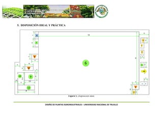 DISEÑO DE PLANTAS AGROINDUSTRIALES – UNIVERSIDAD NACIONAL DE TRUJILLO
5. DISPOSICIÓN IDEAL Y PRÁCTICA
Figura 5. Disposición ideal.
 