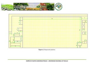 DISEÑO DE PLANTAS AGROINDUSTRIALES – UNIVERSIDAD NACIONAL DE TRUJILLO
Figura 6. Disposición práctica.
 
