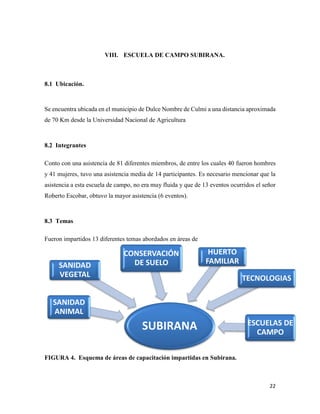 22
VIII. ESCUELA DE CAMPO SUBIRANA.
8.1 Ubicación.
Se encuentra ubicada en el municipio de Dulce Nombre de Culmi a una distancia aproximada
de 70 Km desde la Universidad Nacional de Agricultura
8.2 Integrantes
Conto con una asistencia de 81 diferentes miembros, de entre los cuales 40 fueron hombres
y 41 mujeres, tuvo una asistencia media de 14 participantes. Es necesario mencionar que la
asistencia a esta escuela de campo, no era muy fluida y que de 13 eventos ocurridos el señor
Roberto Escobar, obtuvo la mayor asistencia (6 eventos).
8.3 Temas
Fueron impartidos 13 diferentes temas abordados en áreas de
FIGURA 4. Esquema de áreas de capacitación impartidas en Subirana.
SUBIRANA
SANIDAD
ANIMAL
SANIDAD
VEGETAL
CONSERVACIÓN
DE SUELO
HUERTO
FAMILIAR
TECNOLOGIAS
ESCUELAS DE
CAMPO
 