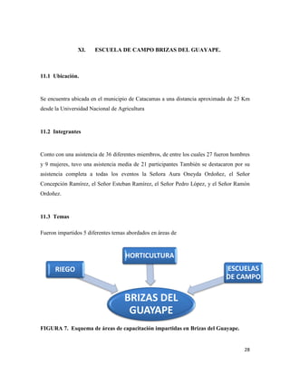 28
XI. ESCUELA DE CAMPO BRIZAS DEL GUAYAPE.
11.1 Ubicación.
Se encuentra ubicada en el municipio de Catacamas a una distancia aproximada de 25 Km
desde la Universidad Nacional de Agricultura
11.2 Integrantes
Conto con una asistencia de 36 diferentes miembros, de entre los cuales 27 fueron hombres
y 9 mujeres, tuvo una asistencia media de 21 participantes También se destacaron por su
asistencia completa a todas los eventos la Señora Aura Oneyda Ordoñez, el Señor
Concepción Ramírez, el Señor Esteban Ramírez, el Señor Pedro López, y el Señor Ramón
Ordoñez.
11.3 Temas
Fueron impartidos 5 diferentes temas abordados en áreas de
FIGURA 7. Esquema de áreas de capacitación impartidas en Brizas del Guayape.
BRIZAS DEL
GUAYAPE
RIEGO
HORTICULTURA
ESCUELAS
DE CAMPO
 