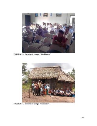 49
FIGURA 13. Escuela de campo “Rio Blanco”
FIGURA 14. Escuela de campo “Subirana”
 