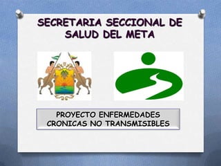 SECRETARIA SECCIONAL DE
    SALUD DEL META




   PROYECTO ENFERMEDADES
 CRONICAS NO TRANSMISIBLES
 
