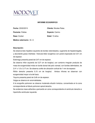 INFORME ECOGRÁFICO


Fecha: 25/02/2013                            Cliente: Nicolas Patas

Paciente: Patitas                            Especie: Canino

Raza: Cocker                                 Edad: 13 años

Médico veterinario: Dr. X



Descripción:
Se observa lobo hepático izquierdo de bordes redondeados, sugerente de hepatomegalia,
y abundante grasa interlobar. Vesícula biliar ecogénica con pared engrosada de 0,51 cm
de espesor.
Estómago presenta pared de 0,47 cm de espesor.
Se observa riñón izquierdo de 5,27 cm de longitud, con contorno irregular producto de
masa de ecogenicidad mixta en borde dorsal del polo craneal, con bordes delimitados, de
2,41 x 1,6 x 3,17 cm. Se observa urolito de ubicación cortical de 1 mm de espesor.
Riñón derecho presenta 5,15 cm de longitud.           Ambos riñones se observan con
ecogenicidad mayor a la del bazo.
Yeyuno presenta pared de 0,48 cm de espesor.
Vejiga se observa sin anormalidades.
A la ecografía pulmonar se observa moderada efusión torácica, concentrada en la zona
correspondiente al lóbulo pulmonar apical derecho.
Se evidencia masa adherida a pericardio en zona correspondiente al ventrículo derecho e
hipertrofia ventricular izquierda.
 