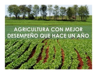AGRICULTURA CON MEJOR
DESEMPEÑO QUE HACE UN AÑO
 