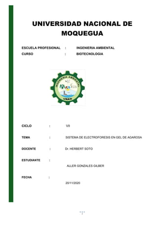 UNIVERSIDAD NACIONAL DE MOQUEGUA
Escuela Profesional de Ingeniería Ambiental
1
UNIVERSIDAD NACIONAL DE
MOQUEGUA
ESCUELA PROFESIONAL : INGENIERIA AMBIENTAL
CURSO : BIOTECNOLOGIA
CICLO : VII
TEMA : SISTEMA DE ELECTROFORESIS EN GEL DE AGAROSA
DOCENTE : Dr. HERBERT SOTO
ESTUDIANTE :
ALLER GONZALES GILBER
FECHA :
20/11/2020
 