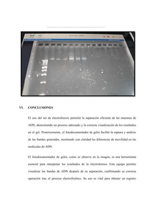 VI. CONCLUSIONES
El uso del set de electroforesis permitió la separación eficiente de las muestras de
ADN, demostrando un proceso adecuado y la correcta visualización de los resultados
en el gel. Posteriormente, el fotodocumentador de geles facilitó la captura y análisis
de las bandas generadas, mostrando con claridad las diferencias de movilidad en las
moléculas de ADN.
El fotodocumentador de geles, como se observa en la imagen, es una herramienta
esencial para interpretar los resultados de la electroforesis. Este equipo permite
visualizar las bandas de ADN después de su separación, confirmando su correcta
operación tras el proceso electroforético. Su uso es vital para obtener un registro
 