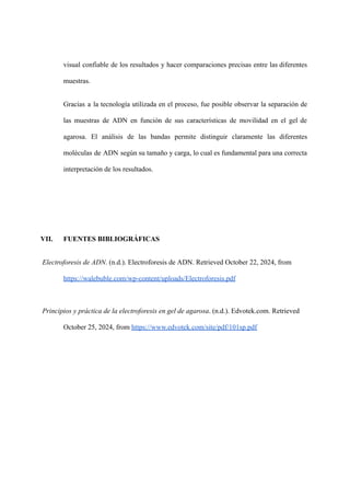 visual confiable de los resultados y hacer comparaciones precisas entre las diferentes
muestras.
Gracias a la tecnología utilizada en el proceso, fue posible observar la separación de
las muestras de ADN en función de sus características de movilidad en el gel de
agarosa. El análisis de las bandas permite distinguir claramente las diferentes
moléculas de ADN según su tamaño y carga, lo cual es fundamental para una correcta
interpretación de los resultados.
VII. FUENTES BIBLIOGRÁFICAS
Electroforesis de ADN. (n.d.). Electroforesis de ADN. Retrieved October 22, 2024, from
https://walebuble.com/wp-content/uploads/Electroforesis.pdf
Principios y práctica de la electroforesis en gel de agarosa. (n.d.). Edvotek.com. Retrieved
October 25, 2024, from https://www.edvotek.com/site/pdf/101sp.pdf
 