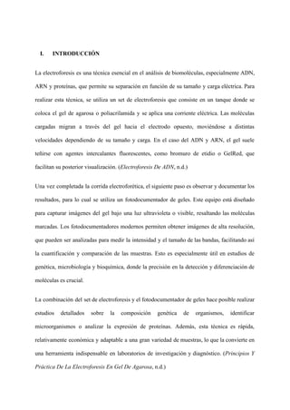 I. INTRODUCCIÓN
La electroforesis es una técnica esencial en el análisis de biomoléculas, especialmente ADN,
ARN y proteínas, que permite su separación en función de su tamaño y carga eléctrica. Para
realizar esta técnica, se utiliza un set de electroforesis que consiste en un tanque donde se
coloca el gel de agarosa o poliacrilamida y se aplica una corriente eléctrica. Las moléculas
cargadas migran a través del gel hacia el electrodo opuesto, moviéndose a distintas
velocidades dependiendo de su tamaño y carga. En el caso del ADN y ARN, el gel suele
teñirse con agentes intercalantes fluorescentes, como bromuro de etidio o GelRed, que
facilitan su posterior visualización. (Electroforesis De ADN, n.d.)
Una vez completada la corrida electroforética, el siguiente paso es observar y documentar los
resultados, para lo cual se utiliza un fotodocumentador de geles. Este equipo está diseñado
para capturar imágenes del gel bajo una luz ultravioleta o visible, resaltando las moléculas
marcadas. Los fotodocumentadores modernos permiten obtener imágenes de alta resolución,
que pueden ser analizadas para medir la intensidad y el tamaño de las bandas, facilitando así
la cuantificación y comparación de las muestras. Esto es especialmente útil en estudios de
genética, microbiología y bioquímica, donde la precisión en la detección y diferenciación de
moléculas es crucial.
La combinación del set de electroforesis y el fotodocumentador de geles hace posible realizar
estudios detallados sobre la composición genética de organismos, identificar
microorganismos o analizar la expresión de proteínas. Además, esta técnica es rápida,
relativamente económica y adaptable a una gran variedad de muestras, lo que la convierte en
una herramienta indispensable en laboratorios de investigación y diagnóstico. (Principios Y
Práctica De La Electroforesis En Gel De Agarosa, n.d.)
 