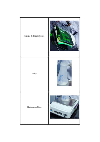 Equipo de Electroforesis
Matraz
Balanza analítica
 