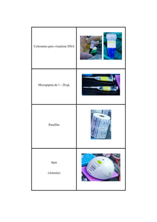 Colorantes para visualizar DNA
Micropipeta de 1 - 20 μL
Parafilm
Spin
(Arturito)
 