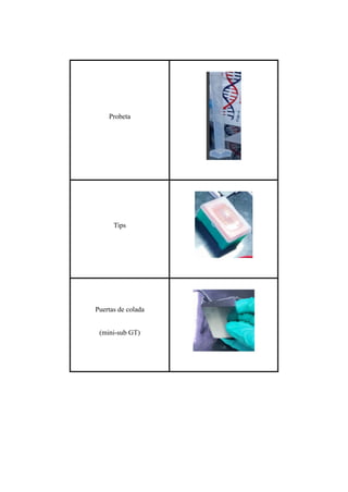 Probeta
Tips
Puertas de colada
(mini-sub GT)
 