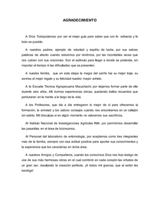 AGRADECIMIENTO
A Dios Todopoderoso por ser el mejor guía para saber que con fe esfuerzo y fe
todo es posible.
A nuestros padres, ejemplo de voluntad y espíritu de lucha, por sus sabias
palabras de aliento cuando estuvimos por rendirnos, por las incontables veces que
nos cubren con sus oraciones. Son el estímulo para llegar a donde se pretende, sin
importar el tiempo ni las dificultades que se presenten.
A nuestra familia, que en esta etapa la magia del cariño fue su mejor traje, su
sonrisa el mejor regalo y su felicidad nuestro mayor anhelo.
A la Escuela Técnica Agropecuaria Mucuchachí, por dejarnos formar parte de ella
durante seis años. Allí vivimos experiencias únicas, quedando bellos recuerdos que
perduraran en la mente a lo largo de la vida.
A los Profesores, que día a día entregaron lo mejor de sí para ofrecernos la
formación, la amistad y los sabios consejos cuando nos encontramos en un callejón
sin salida. Mil disculpas si en algún momento no valoramos sus sacrificios.
Al Instituto Nacional de Investigaciones Agrícolas INIA, por permitirnos desarrollar
las pasantías en el área de bioinsumos.
Al Personal del laboratorio de entomología, por aceptarnos como tres integrantes
más de la familia, siempre con esa actitud positiva para aportar sus conocimientos y
la experiencia que los caracteriza en dicha área.
A nuestros Amigos y Compañeros, cuando los conocimos Dios nos hizo testigo de
una de sus más hermosas obras en el cual combinó en cada corazón las virtudes de
un gran ser, resultando la creación perfecta. ¡A todos mil gracias, que el señor les
bendiga!
 