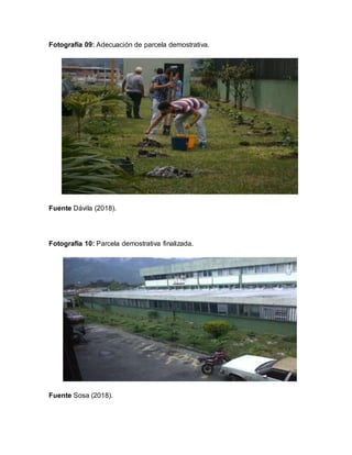 Fotografía 09: Adecuación de parcela demostrativa.
Fuente Dávila (2018).
Fotografía 10: Parcela demostrativa finalizada.
Fuente Sosa (2018).
 