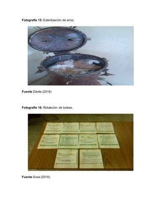 Fotografía 15: Esterilización de arroz.
Fuente Dávila (2018)
Fotografía 16: Rotulación de bolsas.
Fuente Sosa (2018).
 