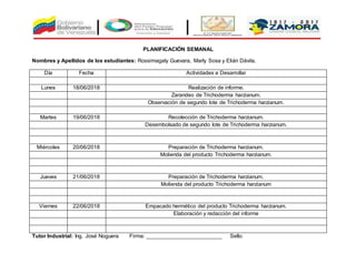 PLANIFICACIÓN SEMANAL
Nombres y Apellidos de los estudiantes: Rossimagaly Guevara, Marly Sosa y Elián Dávila.
Día Fecha Actividades a Desarrollar
Lunes 18/06/2018 Realización de informe.
Zarandeo de Trichoderma harzianum.
Observación de segundo lote de Trichoderma harzianum.
Martes 19/06/2018 Recolección de Trichoderma harzianum.
Desembolsado de segundo lote de Trichoderma harzianum.
Miércoles 20/06/2018 Preparación de Trichoderma harzianum.
Molienda del producto Trichoderma harzianum.
Jueves 21/06/2018 Preparación de Trichoderma harzianum.
Molienda del producto Trichoderma harzianum
Viernes 22/06/2018 Empacado hermético del producto Trichoderma harzianum.
Elaboración y redacción del informe
Tutor Industrial: Ing. José Noguera Firma: _________________________ Sello:
 