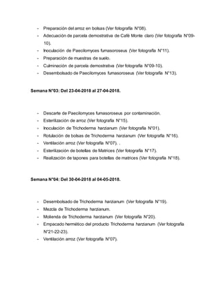 - Preparación del arroz en bolsas (Ver fotografía N°08).
- Adecuación de parcela demostrativa de Café Monte claro (Ver fotografía N°09-
10).
- Inoculación de Paecilomyces fumasoroseus (Ver fotografía N°11).
- Preparación de muestras de suelo.
- Culminación de parcela demostrativa (Ver fotografía N°09-10).
- Desembolsado de Paecilomyces fumasoroseus (Ver fotografía N°13).
Semana N°03: Del 23-04-2018 al 27-04-2018.
- Descarte de Paecilomyces fumasoroseus por contaminación.
- Esterilización de arroz (Ver fotografía N°15).
- Inoculación de Trichoderma harzianum (Ver fotografía N°01).
- Rotulación de bolsas de Trichoderma harzianum (Ver fotografía N°16).
- Ventilación arroz (Ver fotografía N°07). .
- Esterilización de botellas de Matrices (Ver fotografía N°17).
- Realización de tapones para botellas de matrices (Ver fotografía N°18).
Semana N°04: Del 30-04-2018 al 04-05-2018.
- Desembolsado de Trichoderma harzianum (Ver fotografía N°19).
- Mezcla de Trichoderma harzianum.
- Molienda de Trichoderma harzianum (Ver fotografía N°20).
- Empacado hermético del producto Trichoderma harzianum (Ver fotografía
N°21-22-23).
- Ventilación arroz (Ver fotografía N°07).
 