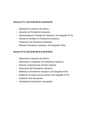 Semana N°11: Del 18-06-2018 al 22-06-2018.
- Elaboración y redacción de informe.
- Zarandeo de Trichoderma harzianum.
- Desembolsado de Trichoderma harzianum (Ver fotografía N°19).
- Vaciado en bandejas de Trichoderma harzianum.
- Preparación de Trichoderma harzianum.
- Molienda Trichoderma harzianum (Ver fotografía N°20).
Semana N°12: Del 25-06-2018 al 29-06-2018.
- Elaboración y redacción de informe.
- Observación y evaluación de Trichoderma harzianum.
- Revisión y observaciones del tutor industrial.
- Preparación del Trichoderma harzianum.
- Molienda de Trichoderma harzianum (Ver fotografía N°20).
- Rotulación de bolsas para el producto (Ver fotografía N°16).
- Evaluación final de pasantía.
- Actividades de culminación de pasantía.
 