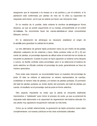 asegurarse que la respuesta a la resepa va a ser positiva y, por el contrario, si la
plantación está conformada por plantas de más de 12 años su capacidad de
respuesta será menor, por lo que se optaría por hacer una renovación total.
En la medida de lo posible, debe evitarse la siembra de almácigos en forma
dispersa, ya que se pierde seguimiento en su manejo, principalmente en el control
de malezas. Se recomienda hacer las nuevas siembras en áreas concentradas
(bloques, surcos,).
En la elaboración de almácigos es necesario establecer el origen de
la semilla para garantizar la calidad de la planta.
La otra alternativa de generar tejido productivo nuevo es por medio de las podas,
utilizando cualquiera de los sistemas y tipos. Debe podarse entre un 20 y 25 por
ciento de plantas, el porcentaje depende de altitud sobre el nivel del mar en donde se
encuentre la plantación. Cuando la poda se hace siguiendo un sistema como bloques
o surcos, se facilita controlar estos porcentajes, pero si se selecciona el sistema de
poda selectiva se dificulta controlar el porcentaje de poda, generalmente se hace de
manera apreciativa.
Para evitar esta situación, es recomendable hacer un muestreo del porcentaje de
poda. El dato se obtiene al seleccionar un número representativo de cuerdas,
contabilizar el número total de plantas y el número de plantas podadas. El promedio
del total de plantas podadas se divide dentro del promedio del total de plantas por
cuerda, el resultado es el porcentaje real de poda en forma selectiva.
Otro aspecto importante es evitar que la planta se encuentre totalmente
improductiva o "paloteada" para iniciar el proceso de poda, ya que su potencial de
respuesta está relacionado a la capacidad de regeneración del sistema radicular. En
una planta muy agotada la recuperación radicular es más lenta.
Como ya se señaló anteriormente, la generación de tejido productivo nuevo debe
complementarse con buenas prácticas en las otras actividades culturales:
 