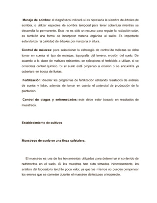 Manejo de sombra: el diagnóstico indicará si es necesaria la siembra de árboles de
sombra, o utilizar especies de sombra temporal para tener cobertura mientras se
desarrolla la permanente. Este no es sólo un recurso para regular la radiación solar,
es también una forma de incorporar materia orgánica al suelo. Es importante
estandarizar la cantidad de árboles por manzana y altura.
Control de malezas: para seleccionar la estrategia de control de malezas se debe
tomar en cuenta el tipo de malezas, topografía del terreno, erosión del suelo. De
acuerdo a la clase de malezas existentes, se selecciona el herbicida a utilizar, si se
considera control químico. Si el suelo está propenso a erosión o se encuentra ya
cobertura en época de lluvias.
Fertilización: diseñar los programas de fertilización utilizando resultados de análisis
de suelos y foliar, además de tomar en cuenta el potencial de producción de la
plantación.
Control de plagas y enfermedades: este debe estar basado en resultados de
muestreos.
Establecimiento de cultivos
Muestreos de suelo en una finca cafetalera.
El muestreo es una de las herramientas utilizadas para determinar el contenido de
nutrimentos en el suelo. Si las muestras han sido tomadas incorrectamente, los
análisis del laboratorio tendrán poco valor, ya que los mismos no pueden compensar
los errores que se cometen durante el muestreo defectuoso o incorrecto.
 