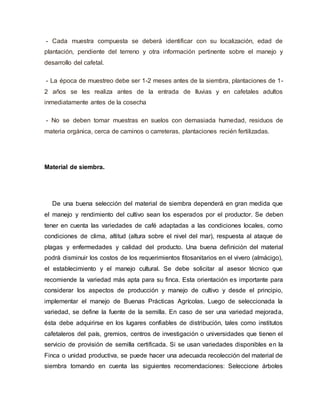 - Cada muestra compuesta se deberá identificar con su localización, edad de
plantación, pendiente del terreno y otra información pertinente sobre el manejo y
desarrollo del cafetal.
- La época de muestreo debe ser 1-2 meses antes de la siembra, plantaciones de 1-
2 años se les realiza antes de la entrada de lluvias y en cafetales adultos
inmediatamente antes de la cosecha
- No se deben tomar muestras en suelos con demasiada humedad, residuos de
materia orgánica, cerca de caminos o carreteras, plantaciones recién fertilizadas.
Material de siembra.
De una buena selección del material de siembra dependerá en gran medida que
el manejo y rendimiento del cultivo sean los esperados por el productor. Se deben
tener en cuenta las variedades de café adaptadas a las condiciones locales, como
condiciones de clima, altitud (altura sobre el nivel del mar), respuesta al ataque de
plagas y enfermedades y calidad del producto. Una buena definición del material
podrá disminuir los costos de los requerimientos fitosanitarios en el vivero (almácigo),
el establecimiento y el manejo cultural. Se debe solicitar al asesor técnico que
recomiende la variedad más apta para su finca. Esta orientación es importante para
considerar los aspectos de producción y manejo de cultivo y desde el principio,
implementar el manejo de Buenas Prácticas Agrícolas. Luego de seleccionada la
variedad, se define la fuente de la semilla. En caso de ser una variedad mejorada,
ésta debe adquirirse en los lugares confiables de distribución, tales como institutos
cafetaleros del país, gremios, centros de investigación o universidades que tienen el
servicio de provisión de semilla certificada. Si se usan variedades disponibles en la
Finca o unidad productiva, se puede hacer una adecuada recolección del material de
siembra tomando en cuenta las siguientes recomendaciones: Seleccione árboles
 