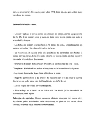 para su crecimiento). Se pueden usar tubos PVC, latas abiertas por ambos lados
para llenar las bolsas.
Establecimiento del vivero.
- Limpiar y aplanar el terreno donde se colocarán las bolsas, usando una pendiente
de 2 a 3%. Si se colocan sobre el suelo, se debe poner piedra picada para evitar la
acumulación de agua.
- Las bolsas se colocan en eras (filas) de 10 bolsas de ancho, colocadas juntas, sin
espacio entre ellas y de máximo 20 metros de largo.
- Se recomienda el espacio entre eras (pasillo) de 60 centímetros para facilitar el
trabajo con las plantas. Éste debe estar cubierto por piedra picada, plástico o aserrín,
para evitar el crecimiento de malezas.
- Orientar la ubicación de las eras en dirección a la salida del sol de este - oeste.
Trasplante: A la bolsa Para realizar el trasplante se debe considerar lo siguiente:
- Las bolsas deben estar llenas hasta el borde de la bolsa.
- Regar los germinadores el día anterior del trasplante con el fin de aflojar el sustrato
de manera de poder sacar más fácil las plántulas sin dañar la raíz.
- Aplicar riego a las bolsas, previo al trasplante.
- Abrir un hoyo en el centro de las bolsas con una estaca (3 a 4 centímetros de
diámetro) de punta aguda.
Selección de plántulas: Deben escogerse plántulas vigorosas con buena raíz y
abundantes pelos absorbentes, debe descartarse las plántulas con raíces bífidas
(dobles), deformes o que presenten enfermedades.
 