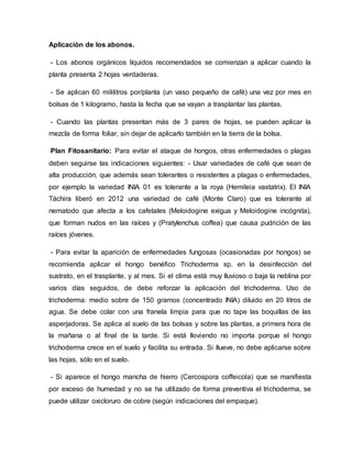 Aplicación de los abonos.
- Los abonos orgánicos líquidos recomendados se comienzan a aplicar cuando la
planta presenta 2 hojas verdaderas.
- Se aplican 60 mililitros por/planta (un vaso pequeño de café) una vez por mes en
bolsas de 1 kilogramo, hasta la fecha que se vayan a trasplantar las plantas.
- Cuando las plantas presentan más de 3 pares de hojas, se pueden aplicar la
mezcla de forma foliar, sin dejar de aplicarlo también en la tierra de la bolsa.
Plan Fitosanitario: Para evitar el ataque de hongos, otras enfermedades o plagas
deben seguirse las indicaciones siguientes: - Usar variedades de café que sean de
alta producción, que además sean tolerantes o resistentes a plagas o enfermedades,
por ejemplo la variedad INIA 01 es tolerante a la roya (Hemileia vastatrix). El INIA
Táchira liberó en 2012 una variedad de café (Monte Claro) que es tolerante al
nematodo que afecta a los cafetales (Meloidogine exigua y Meloidogine incógnita),
que forman nudos en las raíces y (Pratylenchus coffea) que causa pudrición de las
raíces jóvenes.
- Para evitar la aparición de enfermedades fungosas (ocasionadas por hongos) se
recomienda aplicar el hongo benéfico Trichoderma sp. en la desinfección del
sustrato, en el trasplante, y al mes. Si el clima está muy lluvioso o baja la neblina por
varios días seguidos, de debe reforzar la aplicación del trichoderma. Uso de
trichoderma: medio sobre de 150 gramos (concentrado INIA) diluido en 20 litros de
agua. Se debe colar con una franela limpia para que no tape las boquillas de las
asperjadoras. Se aplica al suelo de las bolsas y sobre las plantas, a primera hora de
la mañana o al final de la tarde. Si está lloviendo no importa porque el hongo
trichoderma crece en el suelo y facilita su entrada. Si llueve, no debe aplicarse sobre
las hojas, sólo en el suelo.
- Si aparece el hongo mancha de hierro (Cercospora coffeicola) que se manifiesta
por exceso de humedad y no se ha utilizado de forma preventiva el trichoderma, se
puede utilizar oxicloruro de cobre (según indicaciones del empaque).
 