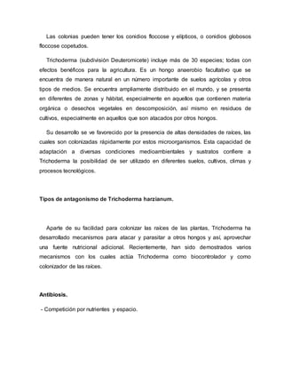 Las colonias pueden tener los conidios floccose y elípticos, o conidios globosos
floccose copetudos.
Trichoderma (subdivisión Deuteromicete) incluye más de 30 especies; todas con
efectos benéficos para la agricultura. Es un hongo anaerobio facultativo que se
encuentra de manera natural en un número importante de suelos agrícolas y otros
tipos de medios. Se encuentra ampliamente distribuido en el mundo, y se presenta
en diferentes de zonas y hábitat, especialmente en aquellos que contienen materia
orgánica o desechos vegetales en descomposición, así mismo en residuos de
cultivos, especialmente en aquellos que son atacados por otros hongos.
Su desarrollo se ve favorecido por la presencia de altas densidades de raíces, las
cuales son colonizadas rápidamente por estos microorganismos. Esta capacidad de
adaptación a diversas condiciones medioambientales y sustratos confiere a
Trichoderma la posibilidad de ser utilizado en diferentes suelos, cultivos, climas y
procesos tecnológicos.
Tipos de antagonismo de Trichoderma harzianum.
Aparte de su facilidad para colonizar las raíces de las plantas, Trichoderma ha
desarrollado mecanismos para atacar y parasitar a otros hongos y así, aprovechar
una fuente nutricional adicional. Recientemente, han sido demostrados varios
mecanismos con los cuales actúa Trichoderma como biocontrolador y como
colonizador de las raíces.
Antibiosis.
- Competición por nutrientes y espacio.
 