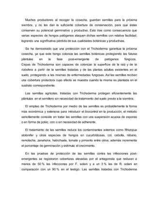Muchos productores al recoger la cosecha, guardan semillas para la próxima
siembra, y no les dan la suficiente cobertura de conservación, para que éstas
conserven su potencial germinativo y productivo. Esto trae como consecuencia que
varias especies de hongos patógenos ataquen dichas semillas con relativa facilidad,
logrando una significativa pérdida de sus cualidades botánicas y productivas.
Se ha demostrado que una protección con el Trichoderma garantiza la próxima
cosecha, ya que este hongo coloniza las semillas botánicas protegiendo las futuras
plántulas en la fase post-emergente de patógenos fúngicos.
Cepas de Trichoderma son capaces de colonizar la superficie de la raíz y de la
rizósfera a partir de la semillas tratadas y de las plantas adultas existentes en el
suelo, protegiendo a las mismas de enfermedades fungosas. Así las semillas reciben
una cobertura protectora cuyo efecto se muestra cuando la misma es plantada en el
sustrato correspondiente.
Las semillas agrícolas, tratadas con Trichoderma protegen eficientemente las
plántulas en el semillero sin necesidad de tratamiento del suelo previo a la siembra.
El empleo de Trichoderma por medio de las semillas es probablemente la forma
más económica y extensiva para introducir el biocontrol en la producción, el método
sencillamente consiste en tratar las semillas con una suspensión acuosa de esporas
o en forma de polvo, con o sin necesidad de adherente.
El tratamiento de las semillas reduce los contaminantes externos como Rhizopus
stolonifer y otras especies de hongos en cucurbitáceas, col, cebolla, rábano,
remolacha, zanahoria, habichuela, tomate y pimiento entre otros; además incrementa
el porcentaje de germinación y estimula el crecimiento.
En las pruebas de protección de las semillas contra las infecciones post-
emergentes se registraron coberturas elevadas por el antagonista que reducen a
menos de 50 % las infecciones por F. solani y a un 3 % las de R. solani en
comparación con un 90 % en el testigo. Las semillas tratadas con Trichoderma
 