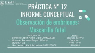 PRÁCTICA N° 12
INFORME CONCEPTUAL
Observación de embriones:
Mascarilla fetal
Integrantes:
- Barboza Lopez, Angie Ligia (2019222505)
- Huaman Romero, Brayan Alfredo
(2019117467)
- Llaro Yataco, Fabiola Larissa (2020207861)
Grupo:
- dtorresg-03T17-2
Docente:
- Dina Torres
Gonzales
 