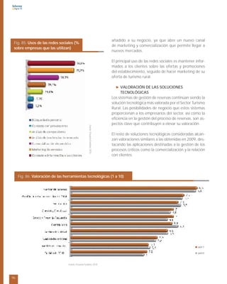 Informe e-PYME 2010