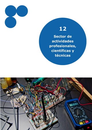12
Sector de
actividades
profesionales,
científicas y
técnicas
 