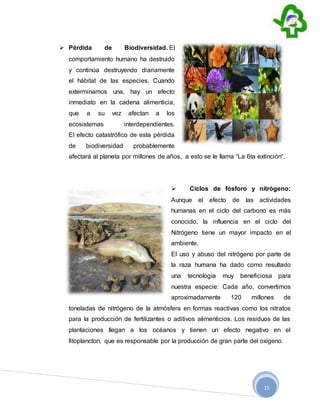 15
 Pérdida de Biodiversidad. El
comportamiento humano ha destruido
y continúa destruyendo diariamente
el hábitat de las especies. Cuando
exterminamos una, hay un efecto
inmediato en la cadena alimenticia,
que a su vez afectan a los
ecosistemas interdependientes.
El efecto catastrófico de esta pérdida
de biodiversidad probablemente
afectará al planeta por millones de años, a esto se le llama “La 6ta extinción“.
 Ciclos de fósforo y nitrógeno:
Aunque el efecto de las actividades
humanas en el ciclo del carbono es más
conocido, la influencia en el ciclo del
Nitrógeno tiene un mayor impacto en el
ambiente.
El uso y abuso del nitrógeno por parte de
la raza humana ha dado como resultado
una tecnología muy beneficiosa para
nuestra especie: Cada año, convertimos
aproximadamente 120 millones de
toneladas de nitrógeno de la atmósfera en formas reactivas como los nitratos
para la producción de fertilizantes o aditivos alimenticios. Los residuos de las
plantaciones llegan a los océanos y tienen un efecto negativo en el
fitoplancton, que es responsable por la producción de gran parte del oxígeno.
 