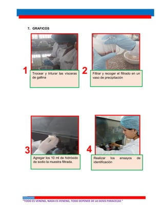 “TODO ES VENENO, NADA ES VENENO, TODO DEPENDE DE LA DOSIS PARACELSO “
7. GRAFICOS
Trocear y triturar las vísceras
de gallina
Filtrar y recoger el filtrado en un
vaso de precipitación
1 2
Agregar los 10 ml de hidróxido
de sodio la muestra filtrada.
3
Realizar los ensayos de
identificación
4
 