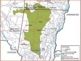 CUANTO….?ENTRE UN 20-25%                         2.500.000 HAS 