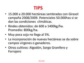 TIPS 15.000 a 20.000 hectáreas sembradas con Girasol campaña 2008/2009. Potenciales 50.000has si se dan las condiciones  climáticas. Rindes obtenidos: de 600 a 1400kg/ha. Promedio: 800kg/ha.Muy poca soja no llega al 5%.La incorporación de nuevas hectáreas se da sobre campos vírgenes o ganaderos.Otros cultivos: Algodón, Sorgo Granifero y Forrajero                                          Abril 2009