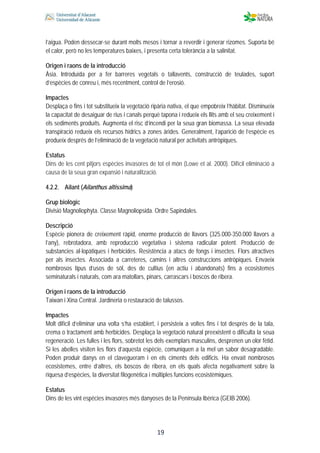  
 
 
 19
l’aigua. Poden dessecar-se durant molts mesos i tornar a reverdir i generar rizomes. Suporta bé
el calor, però no les temperatures baixes, i presenta certa tolerància a la salinitat.
Origen i raons de la introducció
Àsia. Introduïda per a fer barreres vegetals o tallavents, construcció de teulades, suport
d’espècies de conreu i, més recentment, control de l’erosió.
Impactes
Desplaça o fins i tot substitueix la vegetació ripària nativa, el que empobreix l’hàbitat. Disminueix
la capacitat de desaiguar de rius i canals perquè tapona i redueix els llits amb el seu creixement i
els sediments produïts. Augmenta el risc d’incendi per la seua gran biomassa. La seua elevada
transpiració redueix els recursos hídrics a zones àrides. Generalment, l’aparició de l’espècie es
produeix després de l’eliminació de la vegetació natural per activitats antròpiques.
Estatus
Dins de les cent pitjors espècies invasores de tot el món (Lowe et al. 2000). Difícil eliminació a
causa de la seua gran expansió i naturalització.
4.2.2. Ailant (Ailanthus altissima)
Grup biològic
Divisió Magnoliophyta. Classe Magnoliopsida. Ordre Sapindales.
Descripció
Espècie pionera de creixement ràpid, enorme producció de llavors (325.000-350.000 llavors a
l’any), rebrotadora, amb reproducció vegetativa i sistema radicular potent. Producció de
substancies al·lopàtiques i herbicides. Resistència a atacs de fongs i insectes. Flors atractives
per als insectes. Associada a carreteres, camins i altres construccions antròpiques. Envaeix
nombrosos tipus d’usos de sòl, des de cultius (en actiu i abandonats) fins a ecosistemes
seminaturals i naturals, com ara matollars, pinars, carrascars i boscos de ribera.
Origen i raons de la introducció
Taiwan i Xina Central. Jardineria o restauració de talussos.
Impactes
Molt difícil d’eliminar una volta s’ha establert, i persisteix a voltes fins i tot després de la tala,
crema o tractament amb herbicides. Desplaça la vegetació natural preexistent o dificulta la seua
regeneració. Les fulles i les flors, sobretot les dels exemplars masculins, desprenen un olor fètid.
Si les abelles visiten les flors d’aquesta espècie, comuniquen a la mel un sabor desagradable.
Poden produir danys en el clavegueram i en els ciments dels edificis. Ha envaït nombrosos
ecosistemes, entre d’altres, els boscos de ribera, en els quals afecta negativament sobre la
riquesa d’espècies, la diversitat filogenètica i múltiples funcions ecosistèmiques.
Estatus
Dins de les vint espècies invasores més danyoses de la Península Ibèrica (GEIB 2006).
 