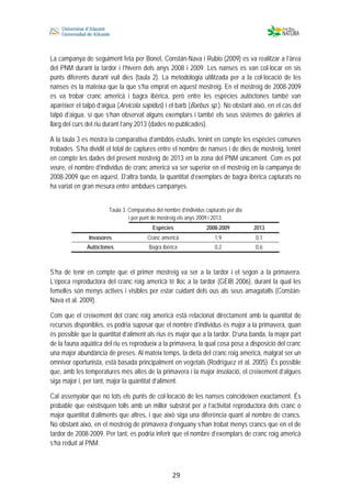  
 
 
 29
La campanya de seguiment feta per Bonet, Constán-Nava i Rubio (2009) es va realitzar a l’àrea
del PNM durant la tardor i l’hivern dels anys 2008 i 2009. Les nanses es van col·locar en sis
punts diferents durant vuit dies (taula 2). La metodologia utilitzada per a la col·locació de les
nanses és la mateixa que la que s’ha emprat en aquest mostreig. En el mostreig de 2008-2009
es va trobar cranc americà i bagra ibèrica, però entre les espècies autòctones també van
aparèixer el talpó d’aigua (Arvicola sapidus) i el barb (Barbus sp.). No obstant això, en el cas del
talpó d’aigua, sí que s’han observat alguns exemplars i també els seus sistemes de galeries al
llarg del curs del riu durant l’any 2013 (dades no publicades).
A la taula 3 es mostra la comparativa d’ambdós estudis, tenint en compte les espècies comunes
trobades. S’ha dividit el total de captures entre el nombre de nanses i de dies de mostreig, tenint
en compte les dades del present mostreig de 2013 en la zona del PNM únicament. Com es pot
veure, el nombre d’individus de cranc americà va ser superior en el mostreig en la campanya de
2008-2009 que en aquest. D’altra banda, la quantitat d’exemplars de bagra ibèrica capturats no
ha variat en gran mesura entre ambdues campanyes.
Taula 3. Comparativa del nombre d’individus capturats per dia
i per punt de mostreig els anys 2009 i 2013.
Espècies 2008-2009 2013
Invasores Cranc americà 1,9 0,1
Autòctones Bagra ibèrica 0,2 0,6
S’ha de tenir en compte que el primer mostreig va ser a la tardor i el segon a la primavera.
L’època reproductora del cranc roig americà té lloc a la tardor (GEIB 2006), durant la qual les
femelles són menys actives i visibles per estar cuidant dels ous als seus amagatalls (Constán-
Nava et al. 2009).
Com que el creixement del cranc roig americà està relacionat directament amb la quantitat de
recursos disponibles, es podria suposar que el nombre d’individus és major a la primavera, quan
és possible que la quantitat d’aliment als rius és major que a la tardor. D’una banda, la major part
de la fauna aquàtica del riu es reprodueix a la primavera, la qual cosa posa a disposició del cranc
una major abundància de preses. Al mateix temps, la dieta del cranc roig americà, malgrat ser un
omnívor oportunista, està basada principalment en vegetals (Rodríguez et al. 2005). És possible
que, amb les temperatures més altes de la primavera i la major insolació, el creixement d’algues
siga major i, per tant, major la quantitat d’aliment.
Cal assenyalar que no tots els punts de col·locació de les nanses coincideixen exactament. És
probable que existisquen tolls amb un millor substrat per a l’activitat reproductora dels cranc o
major quantitat d’aliments que altres, i que això siga una diferència quant al nombre de crancs.
No obstant això, en el mostreig de primavera d’enguany s’han trobat menys crancs que en el de
tardor de 2008-2009. Per tant, es podria inferir que el nombre d’exemplars de cranc roig americà
s’ha reduït al PNM.
 