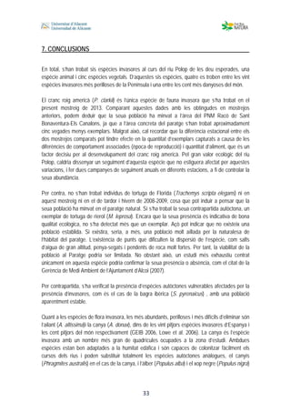  
 
 
 33
7. CONCLUSIONS
En total, s’han trobat sis espècies invasores al curs del riu Polop de les deu esperades, una
espècie animal i cinc espècies vegetals. D’aquestes sis espècies, quatre es troben entre les vint
espècies invasores més perilloses de la Península i una entre les cent més danyoses del món.
El cranc roig americà (P. clarkii) és l’única espècie de fauna invasora que s’ha trobat en el
present mostreig de 2013. Comparant aquestes dades amb les obtingudes en mostrejos
anteriors, podem deduir que la seua població ha minvat a l’àrea del PNM Racó de Sant
Bonaventura-Els Canalons, ja que a l’àrea concreta del paratge s’han trobat aproximadament
cinc vegades menys exemplars. Malgrat això, cal recordar que la diferència estacional entre els
dos mostrejos comparats pot tindre efecte en la quantitat d’exemplars capturats a causa de les
diferències de comportament associades (època de reproducció) i quantitat d’aliment, que és un
factor decisiu per al desenvolupament del cranc roig americà. Pel gran valor ecològic del riu
Polop, caldria dissenyar un seguiment d’aquesta espècie que no estiguera afectat per aquestes
variacions, i fer dues campanyes de seguiment anuals en diferents estacions, a fi de controlar la
seua abundància.
Per contra, no s’han trobat individus de tortuga de Florida (Trachemys scripta elegans) ni en
aquest mostreig ni en el de tardor i hivern de 2008-2009, cosa que pot induir a pensar que la
seua població ha minvat en el paratge natural. Sí s’ha trobat la seua contrapartida autòctona, un
exemplar de tortuga de rierol (M. leprosa). Encara que la seua presència és indicativa de bona
qualitat ecològica, no s’ha detectat més que un exemplar. Açò pot indicar que no existeix una
població establida. Si existira, seria, a més, una població molt aïllada per la naturalesa de
l’hàbitat del paratge. L’existència de punts que dificulten la dispersió de l’espècie, com salts
d’aigua de gran altitud, penya-segats i pendents de roca molt fortes. Per tant, la viabilitat de la
població al Paratge podria ser limitada. No obstant això, un estudi més exhaustiu centrat
únicament en aquesta espècie podria confirmar la seua presència o absència, com el citat de la
Gerència de Medi Ambient de l’Ajuntament d’Alcoi (2007).
Per contrapartida, s’ha verificat la presència d’espècies autòctones vulnerables afectades per la
presència d’invasores, com és el cas de la bagra ibèrica (S. pyrenaicus) , amb una població
aparentment estable.
Quant a les espècies de flora invasora, les més abundants, perilloses i més difícils d’eliminar són
l’ailant (A. altissima)i la canya (A. donax), dins de les vint pitjors espècies invasores d’Espanya i
les cent pitjors del món respectivament (GEIB 2006, Lowe et al. 2006). La canya és l’espècie
invasora amb un nombre més gran de quadrícules ocupades a la zona d’estudi. Ambdues
espècies estan ben adaptades a la humitat edàfica i són capaces de colonitzar fàcilment els
cursos dels rius i poden substituir totalment les espècies autòctones anàlogues, el canyís
(Phragmites australis) en el cas de la canya, i l’àlber (Populus alba) i el xop negre (Populus nigra)
 