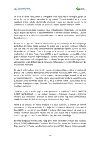  
 
 
 34
en el cas de l’ailant. Particularment al PNM podem trobar àlbers però no xop negres, perquè en
el seu lloc van ser plantats exemplars de xop americà (Populus deltoides) per a la seua
explotació fustera, activitat abandonada actualment. Encara que aquesta espècie no és
autòctona, no es considera invasora, per la qual cosa no s’ha tingut en compte en l’estudi.
Les altres espècies de planta invasora es troben en localitzacions més puntuals. En el cas de la
figuera de pala i de la pitera, es troben normalment en terrenys particulars de masies. L’acàcia
borda es pot trobar al voltant d’aquestes edificacions i a la vora de les carreteres, camins i pistes
forestals annexes.
Excepte per la canya, no s’han trobat exemplars de cap d’aquestes espècies al terreny protegit
per la figura de Paratge Natural Municipal. No obstant això, sí que estan registrades molt prop
dels seus límits. Per això, caldria continuar monitorar l’abundància d’aquestes espècies per evitar
el possible pas al Paratge. Quant a la canya, seria necessari un tractament de control i
eradicació en el llit del riu Polop a l’àrea del PNM, ja que hi ha poblacions ben establides. S’han
publicat protocols de control d’aquesta espècie a sistemes fluvials (Deltoro et al. 2012) elaborats
a partir d’experiències realitzades per la Dirección General del Agua del Ministerio de Agricultura,
Alimentación y Medio Ambiente, i per la Conselleria d’Infraestructures, Territori i Medi Ambient de
la Generalitat Valenciana.
En aquest sentit, i pel que respecta a les espècies animals aquàtiques, existeix la iniciativa del
projecte LIFE-Trachemys: Estrategia de control de tortugas invasoras (LIFE09 NAT/ES/000529),
en marxa des de 2010. En el marc d’aquest projecte, s’han redactat alguns protocols d’eradicació
de les espècies invasores i s’han portat a terme algunes accions per a reduir la població invasora
(Dirección General del Medio Natural 2011a, 2012), i afavorir l’estudi i supervivència de les
poblacions de tortugues ibèriques (Dirección General del Medio Natural 2011b) i altres espècies
aquàtiques autòctones.
També en el marc d’un altre projecte similar ja finalitzat, el projecte LIFE Amfibis 2005-2008
(LIFE05 NAT/E/000060), es van realitzar campanyes d’eliminació d’espècies al·lòctones
invasores que competeixen i depreden els amfibis, com el cranc roig americà (Procambarus
clarkii) (Conselleria del Medi Ambient, Aigua, Urbanisme i Habitatge 2008).
Quant a les espècies de plantes invasores i la seua eradicació, ja existeix un protocol
desenvolupat per l’Estació Científica Font Roja Natura-Universitat d’Alacant (Constán-Nava i
Bonet 2013), ja esmentat en aquest treball. El protocol indica els passos que cal seguir per a
eradicar l’ailant dels ecosistemes naturals amb èxit sense acabar amb la vegetació autòctona
que l’acompanya, tal i com s’ha fet al PRUG del Parc Natural de la Font Roja.
El control d’espècies invasores al riu Polop queda inclòs en el Pla d’Ordenació dels Recursos
Naturals (PORN) i el Pla Rector d’Ús i Gestió (PRUG) del Parc Natural del Carrascal de la Font
Roja, ja que tant el Paratge com el riu formen part de la zona PORN d’aquest. Seria recomanable
 