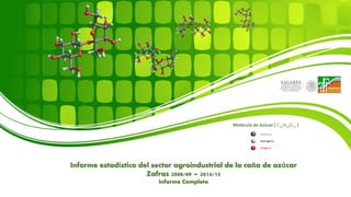Informe estadístico del sector agroindustrial de la caña de azúcar
Zafras 2008/09 – 2014/15
Informe Completo
Molécula de Azúcar ( C12H22O11 )
 