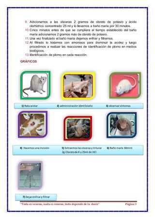 “Todo es veneno, nada es veneno, todo depende de la dosis” Página3
9. Adicionamos a las vísceras 2 gramos de clorato de po...