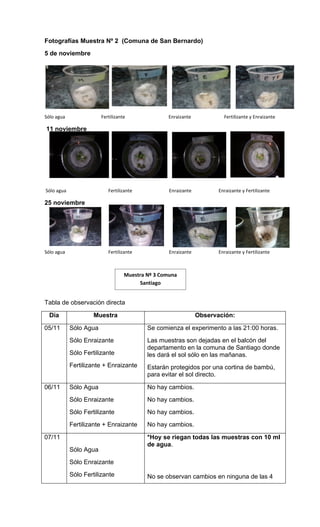 Informe experimento plantas 