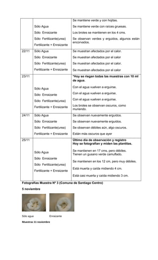 Informe experimento plantas 