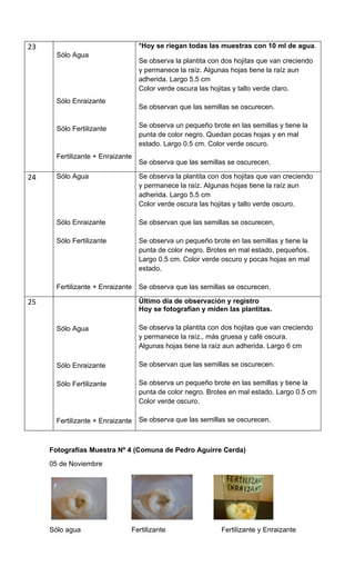 Informe experimento plantas 