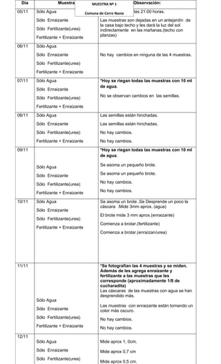 Informe experimento plantas 