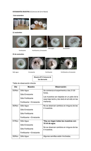 Informe experimento plantas 